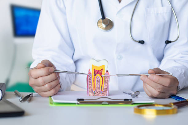 Best Emergency Dental Extractions in Vernon, TX
